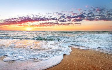 PAUSING in Paradise