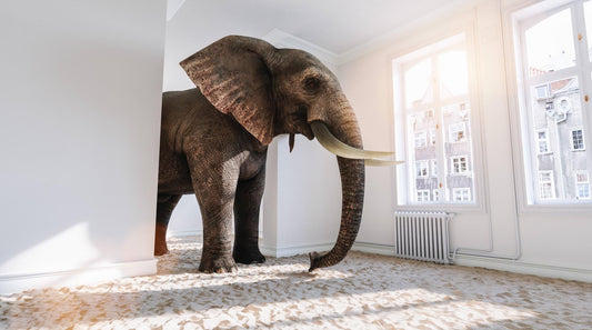The Elephant in the Conversation