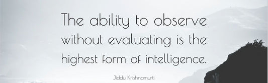 Observations–The Super Power of NVC