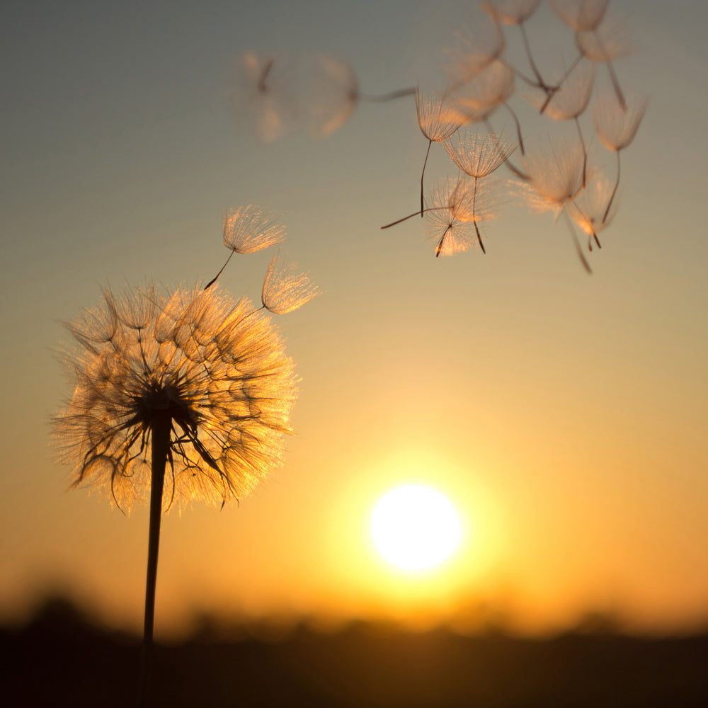 Winds of Change